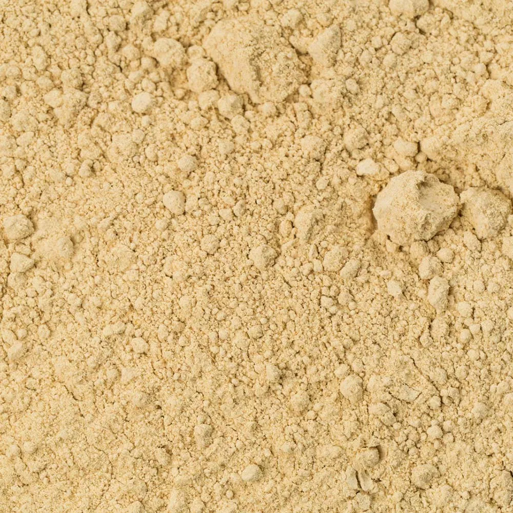 Pure Plant-Based Ginger Extract Powder for Culinary Health