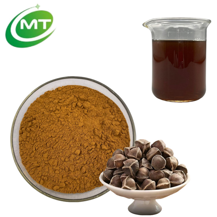 Natural Skin Care Botanical Extract Herbal Extract Anti-Aging Plant Extract Moringa Seed Extract