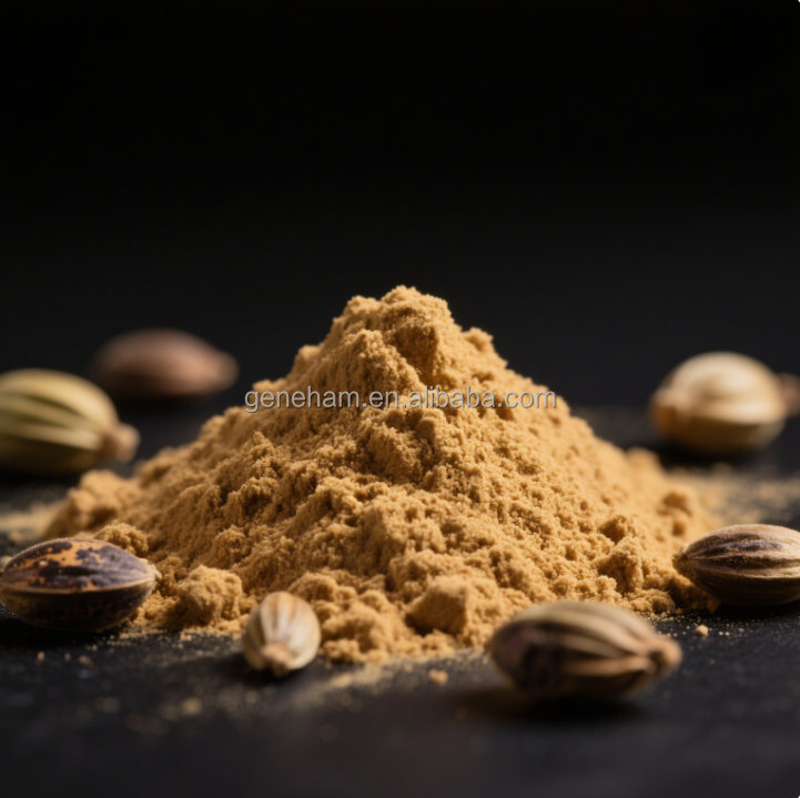 Factory Supply 100% Plant-Based Fenugreek Seed Extract Powder 70% Saponins Food Grade High Purity Low Price