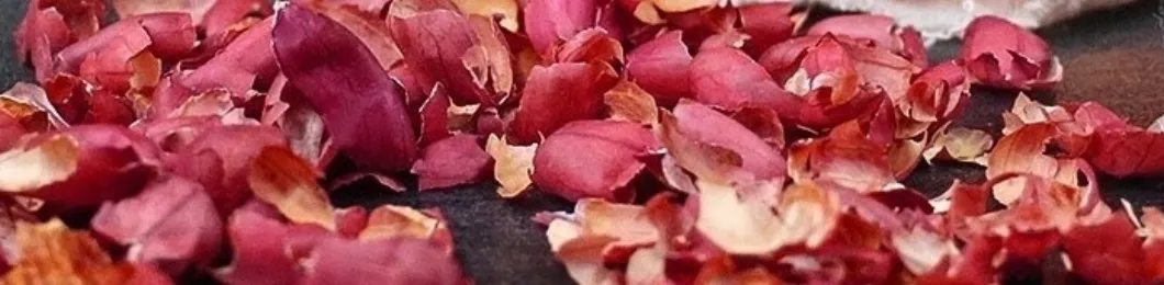 Peanut Skin Extract Banner