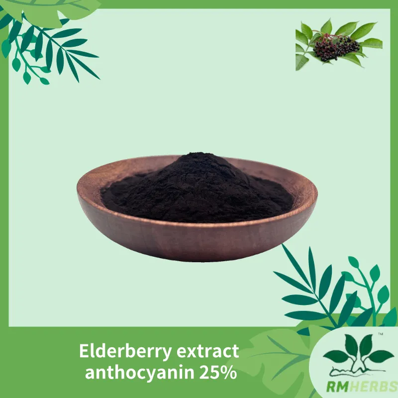 Elderberry Extract Product View