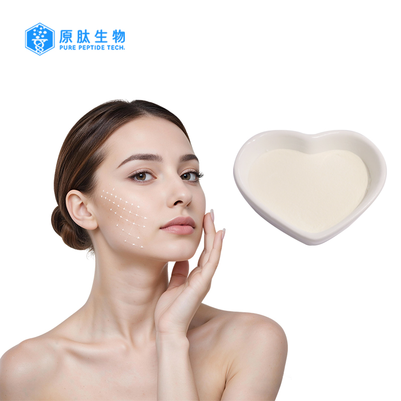 Collagen Tripeptide, Small Molecular Collagen, Skin Care Raw Material, Good Absorbtion
