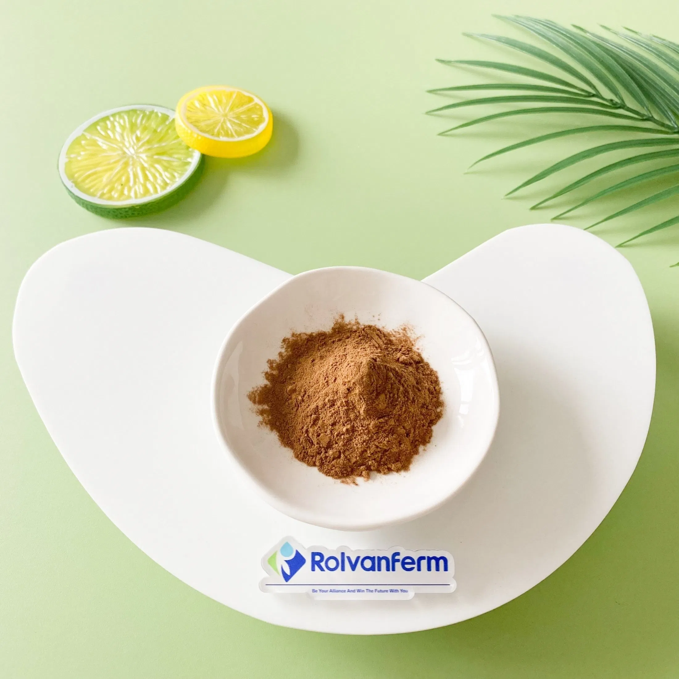 Salvia Plebeia Extract Litchi Grass Botanical Ingredient for Functional Foods and Herbal Applications