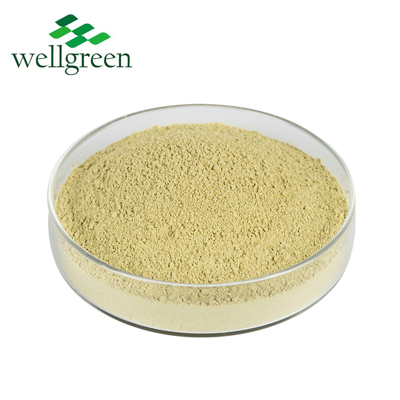 Bulk Natural Herb Glucoraphanin Sulforaphane Broccoli Seed Extract