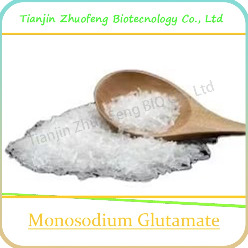 Food Additive High Purity 99% CAS 142-47-2 Monosodium Glutamate Msg