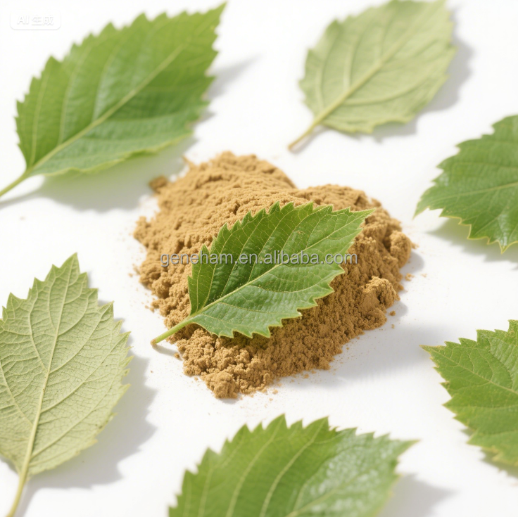 Kosher/Halal Certified Food Grade 2% Mulberry Leaf Extract Plant-Based Herbal Powder