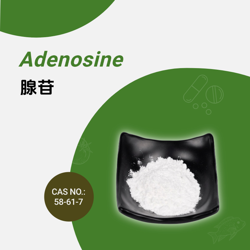 Adenosine, Antiarrhythmic Drugs, and Biochemical Research Ingredient