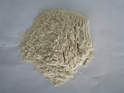 High Quality Food Ingredients Gluten Wheat Vital Raw Material