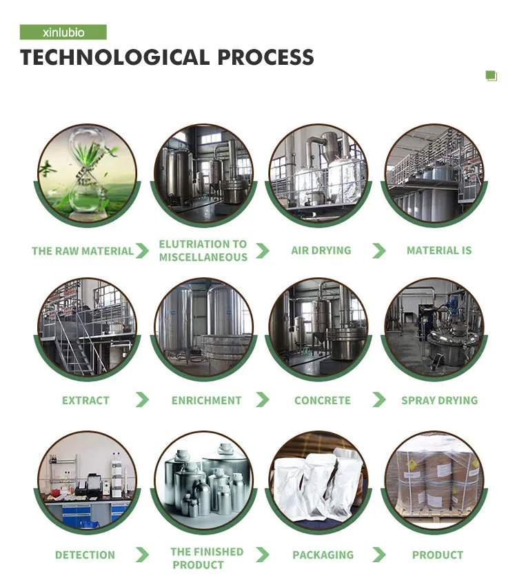 Production Process