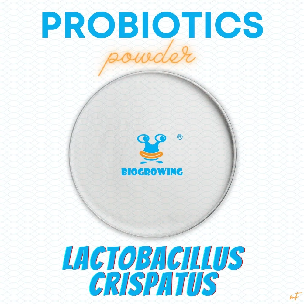 Probiotic Powder Lactobacillus Crispatus LC-G22 for OEM/ODM Raw Materials Manufacturer Supply