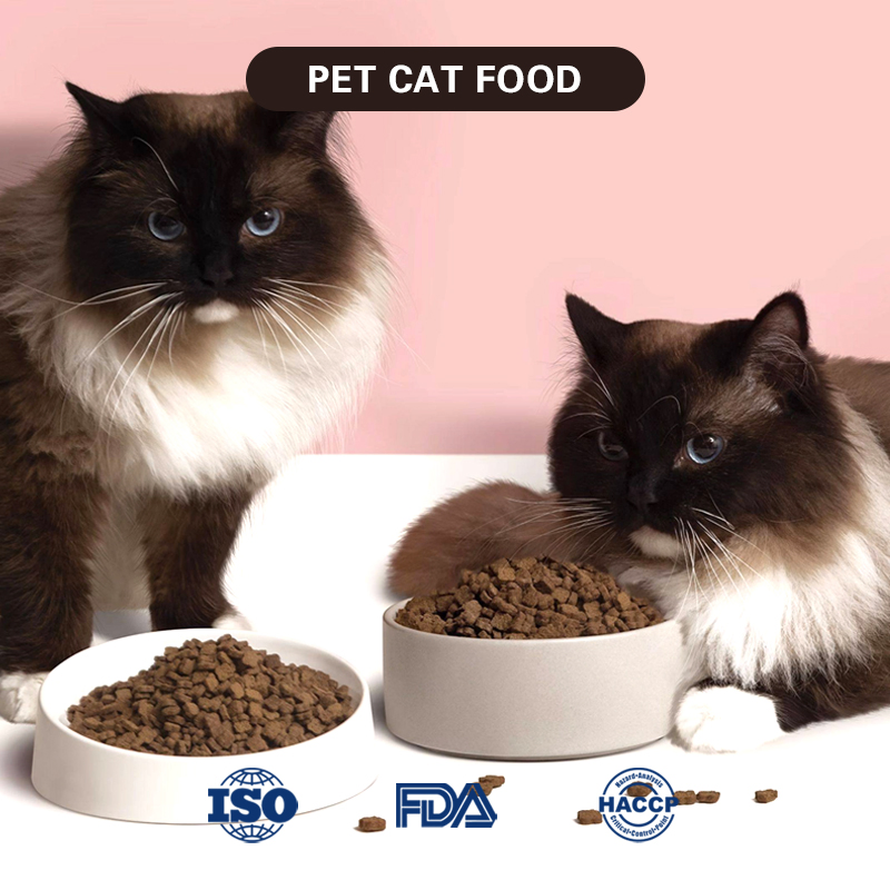High-Protein, Nutrient-Rich Cat Food Containing Chicken, Fish, Beef, and Freeze-Dried Ingredients