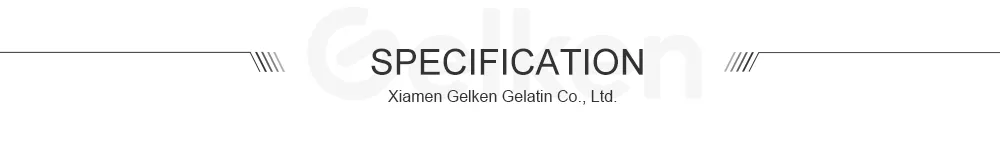 Cocoa Powder Processing Banner