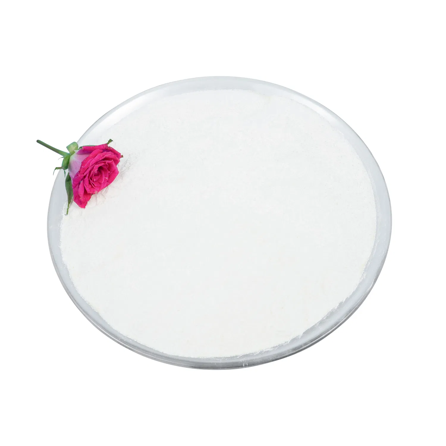 200 Billion Lactobacillus Acidophilus High Potency Supplement Ingredient