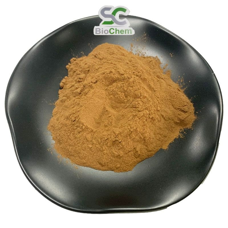 Free Sample Natural Herbal Plant Bacopa Monnieri False Purslane Extract