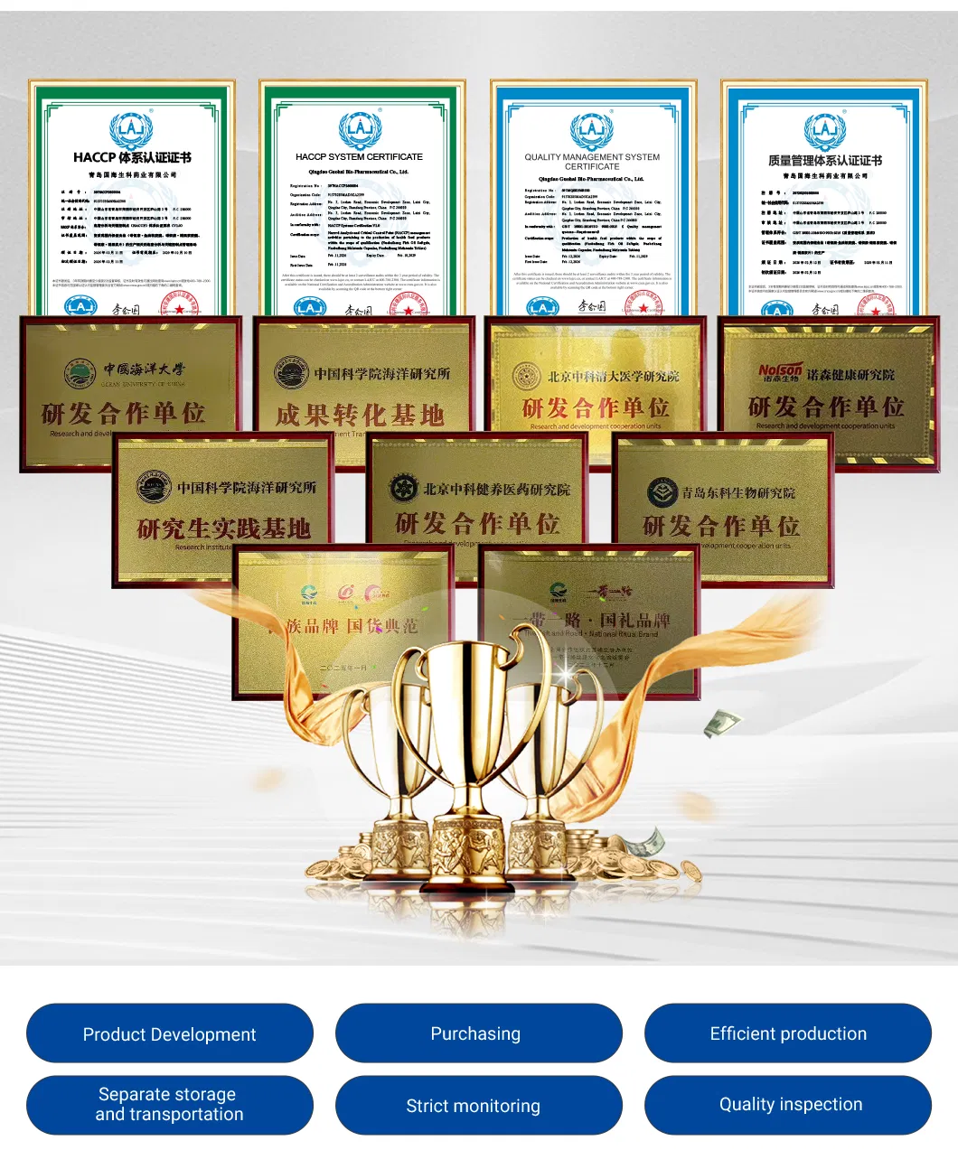 Company Certifications