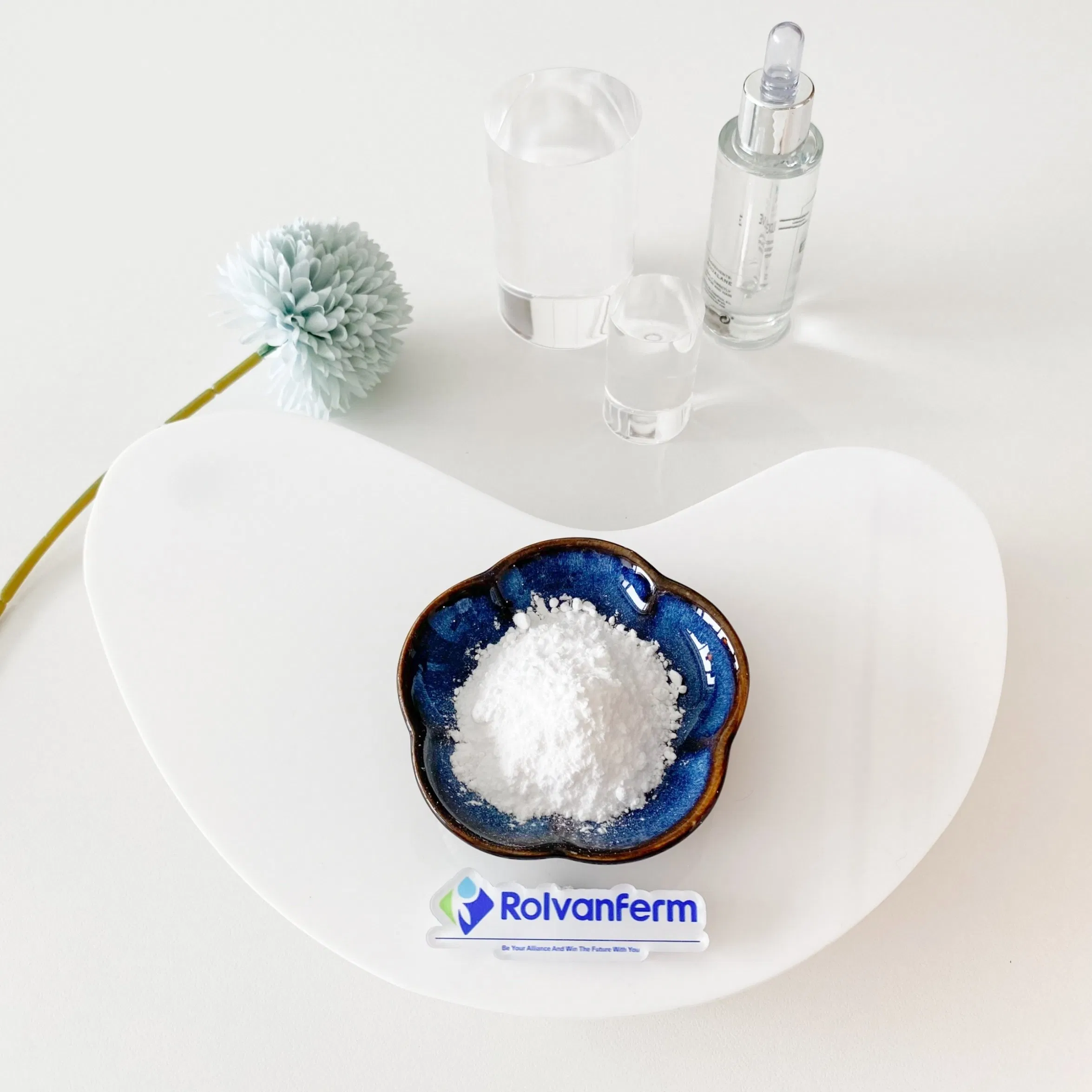 Oral Beauty and Antioxidant Ingredient with Hyaluronic Acid Like Benefits for Supporting Skin Elasticity and Combatting Dryness Tremella Fuciformis