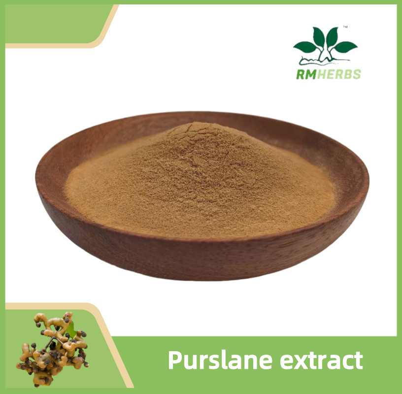 Pure Purslane Extract: Your Go-to Superfood Supplement for Vitality