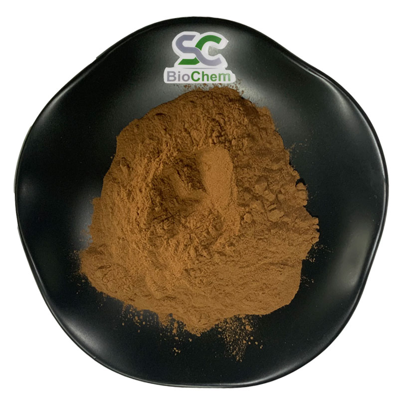 Free Sample Natural Herbal Plant Bacopa Monnieri False Purslane Extract