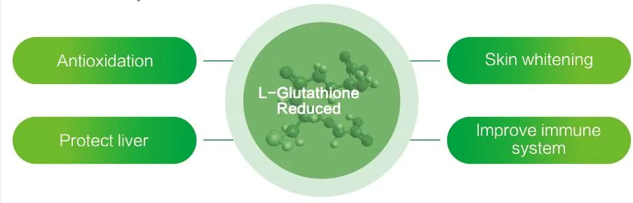 L-Glutathione Functions