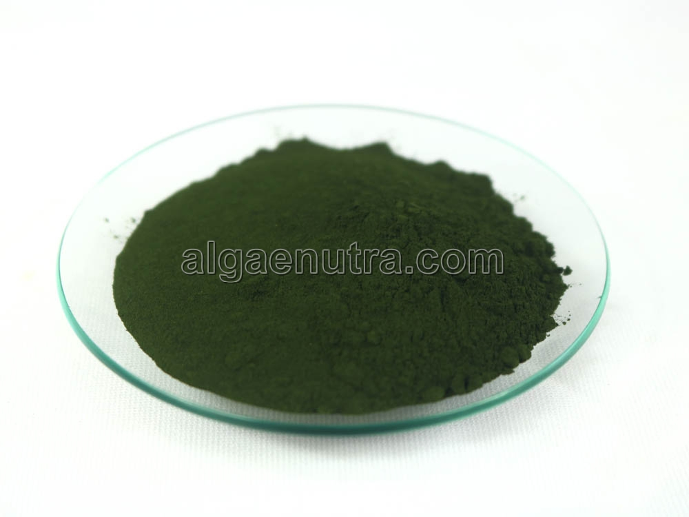 Green Pure Certified Chlorella Powder Bulk Raw Material for Health Food