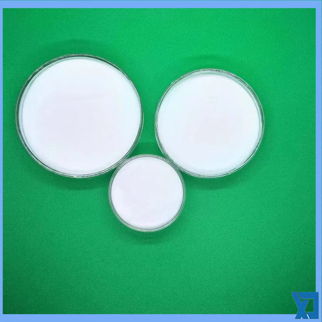 L-Alpha Glycerylphosphorylcholine Photo 2