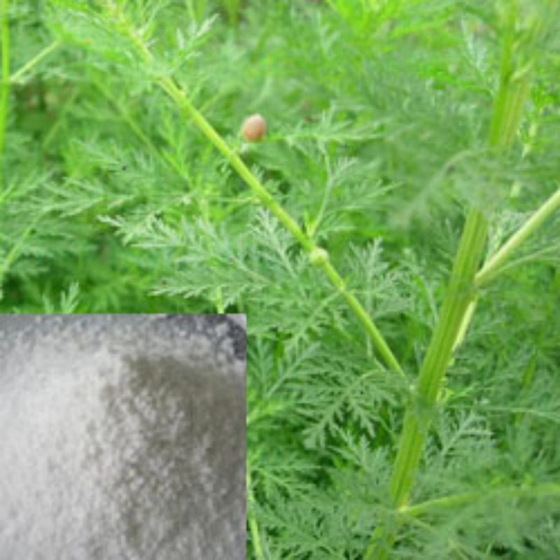 Herbal Extract Artemisnin 99% in HPLC Anti-Cancer