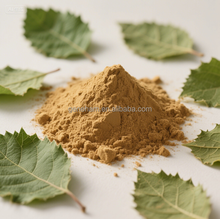 Kosher/Halal Certified Food Grade 2% Mulberry Leaf Extract Plant-Based Herbal Powder