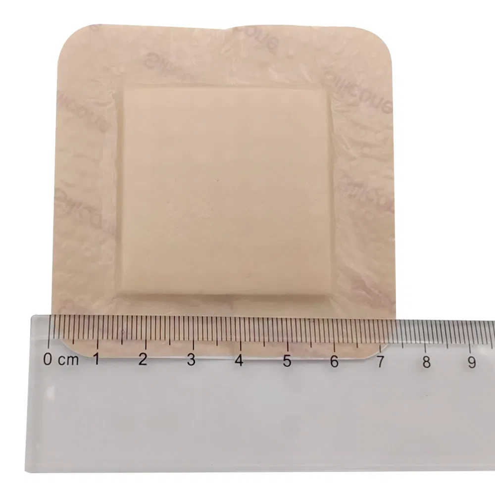 Highly Absorbent Antibacterial Foam Dressings for Wound Care