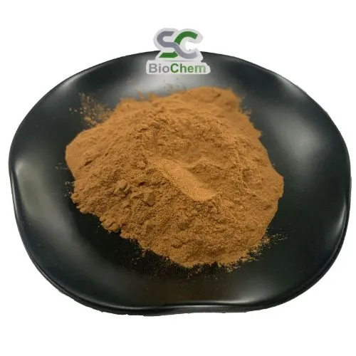 Bacopa Monnieri Extract Powder