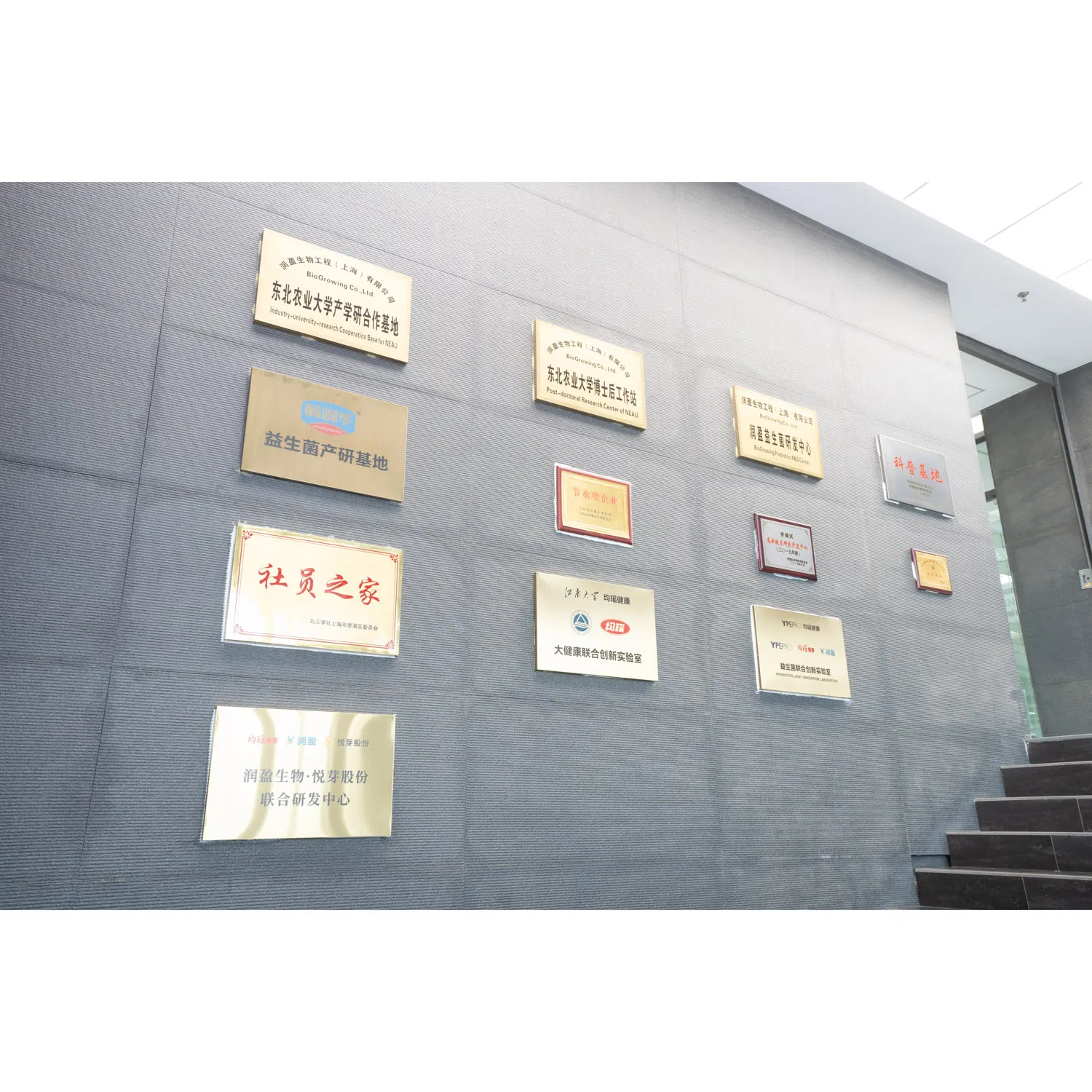 Probiotic Tablet Relieve Halitosis Factory Supply Oral Health Supplement Natural Ingredient