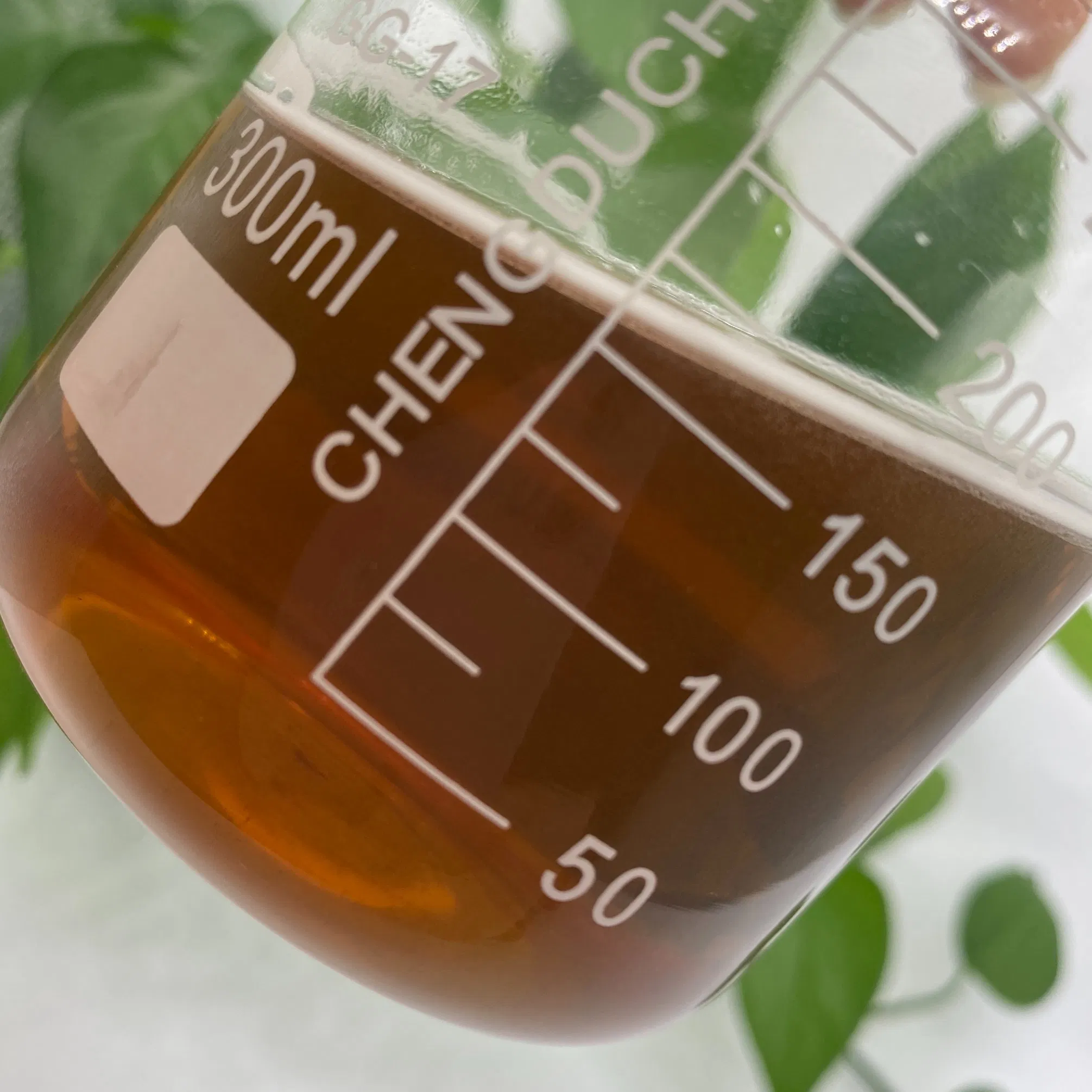 High-Potency Organic Lion's Mane Extract with Over 30% β-Glucan