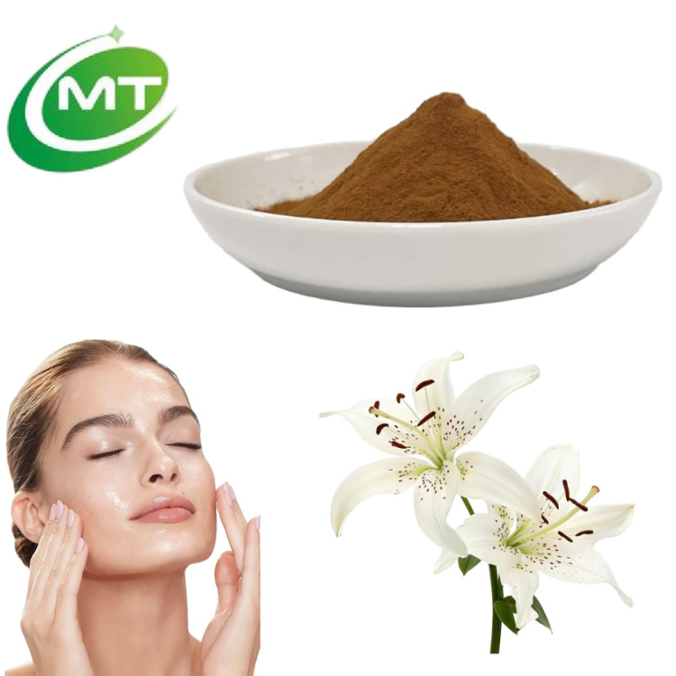 High Quality Botanical Cosmetic Ingredient Skin Soothing Herbal Extract Lily (Lilium) Extract