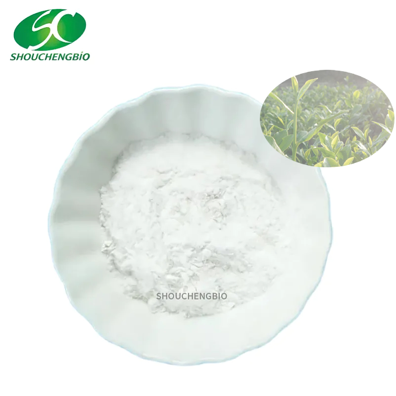 L-Theanine Raw Material for Dietary Supplement