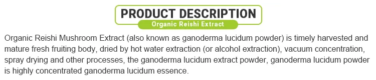 Polvo de hongo reishi de alta calidad extracto de Ganoderma lucidum para el cuidado de la salud