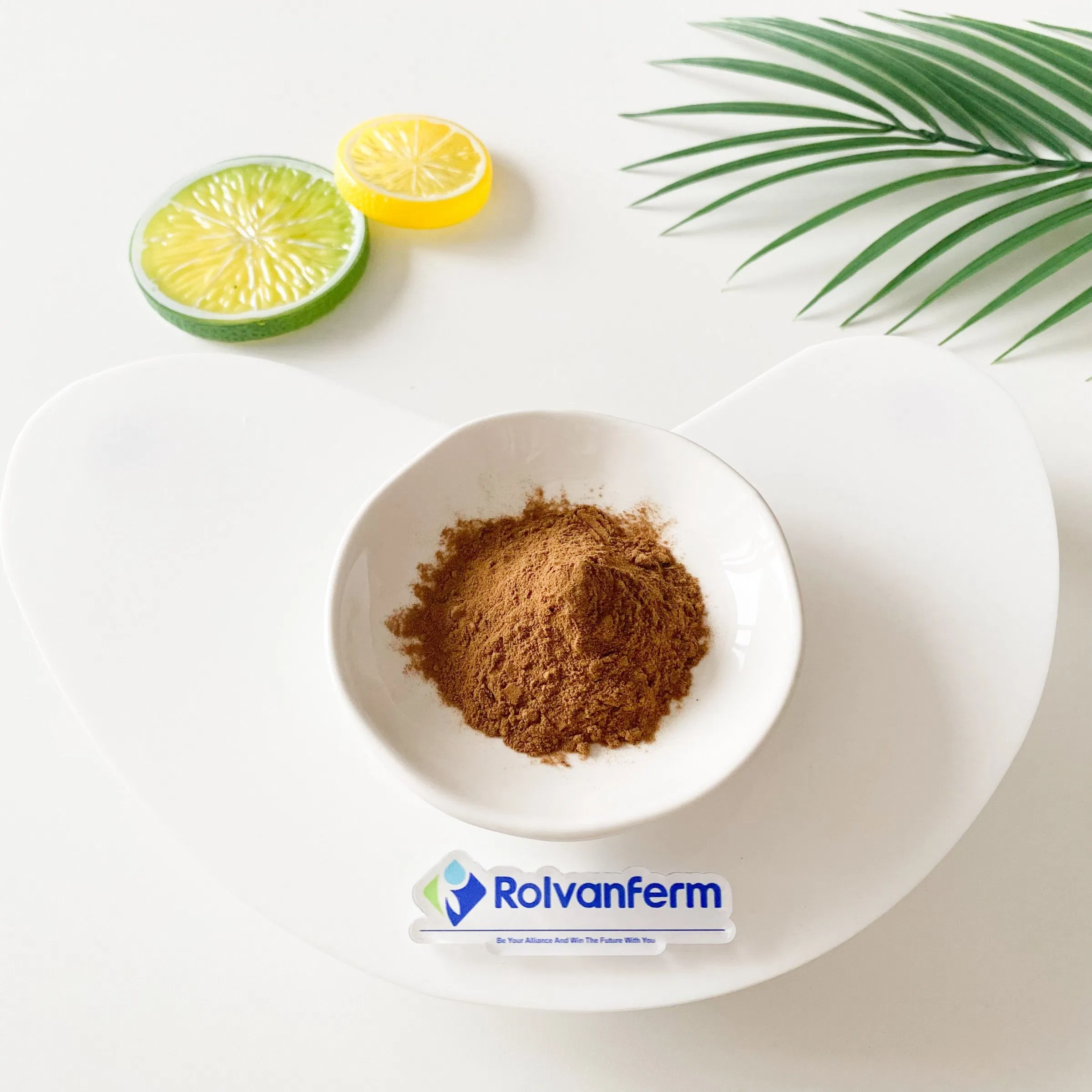 Extracto natural de Tanacetum Parthenium para formulaciones herbales funcionales y aplicaciones de suplementos nutricionales