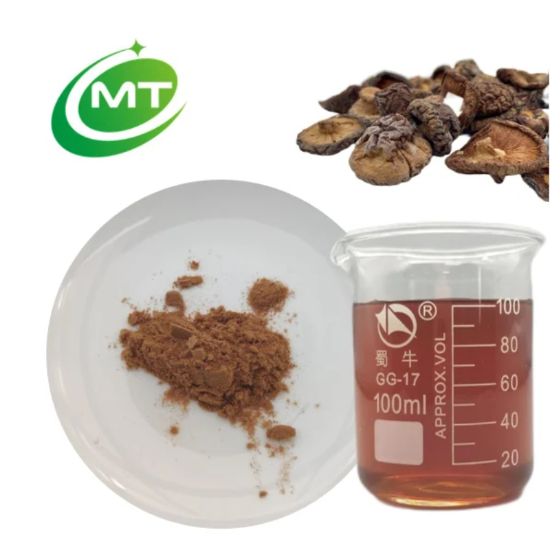 Polvo de champiñón superalimento orgánico de alta calidad extracto de champiñón shiitake