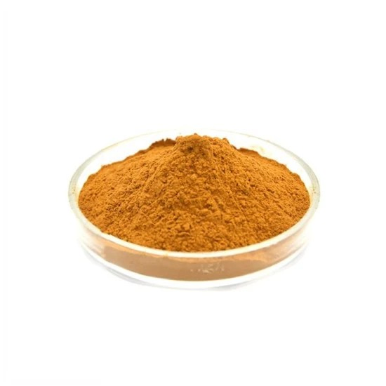 Polvo de hoja de moringa orgánica personalizada de OEM, superalimento verde, polvo de semilla de té verde