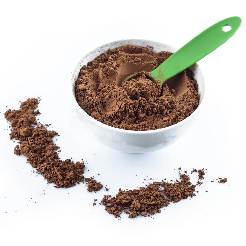 Polvo de Champiñón Maitake Orgánico - Superalimento Premium para la Salud