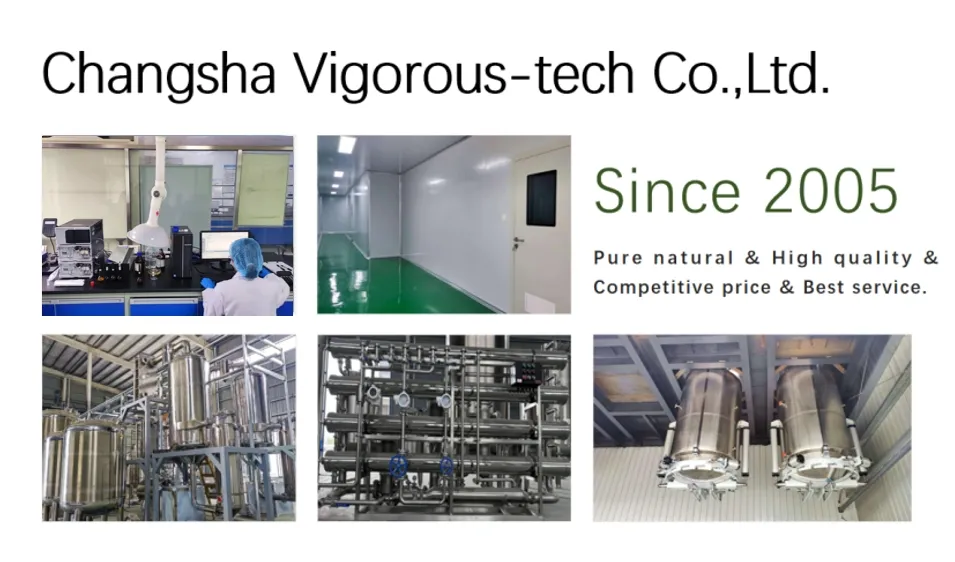 Instalaciones del laboratorio y equipos de prueba