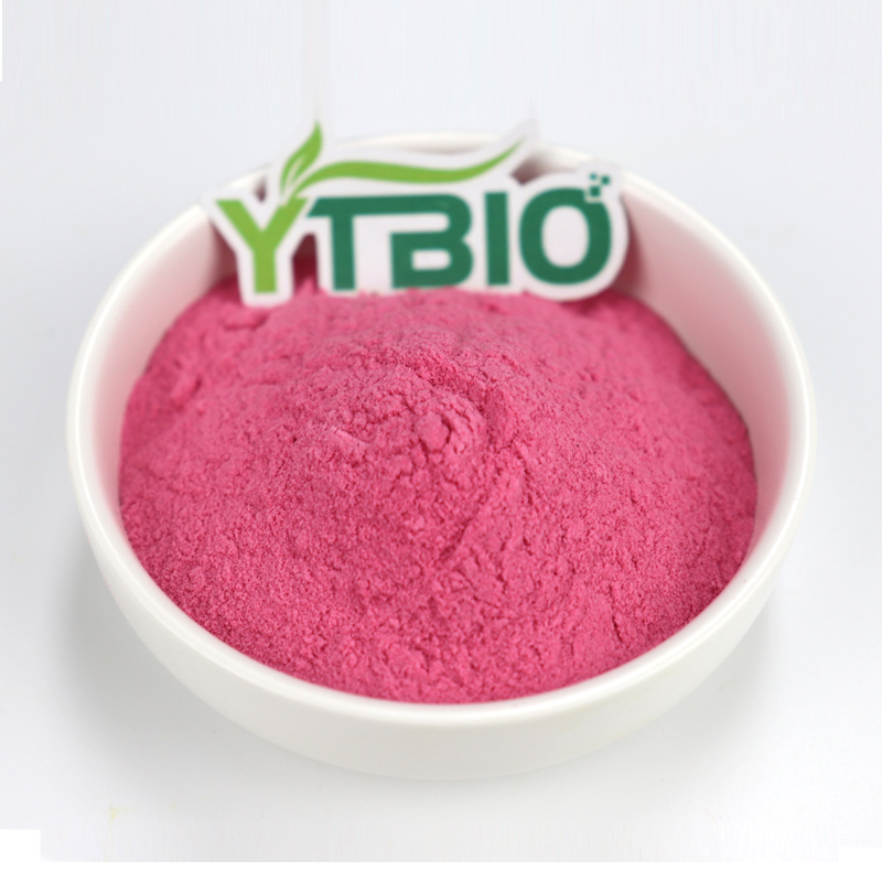 Polvo de jugo de fruta de cereza acerola liofilizado para suplementos dietéticos