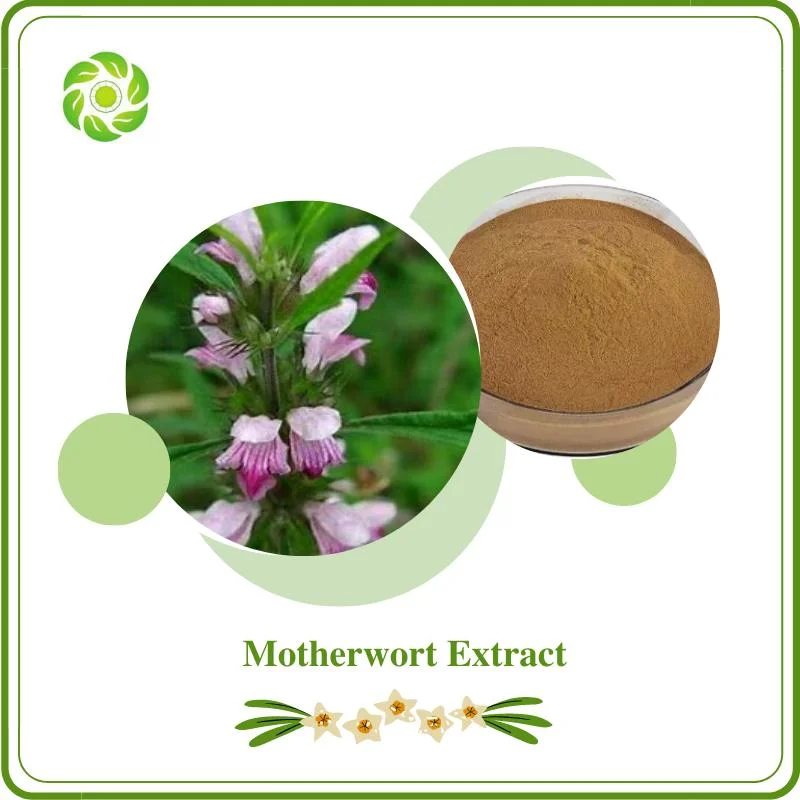 Extracto Herbal de Bienestar Mundial Clorhidrato de Estacidrina 98% Extracto de Madrewort Polvo de Extracto de Hierba de Madrewort