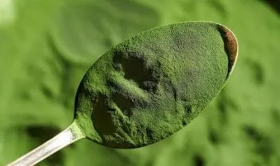 Polvo de superalimento de espirulina y chlorella orgánica para el bienestar