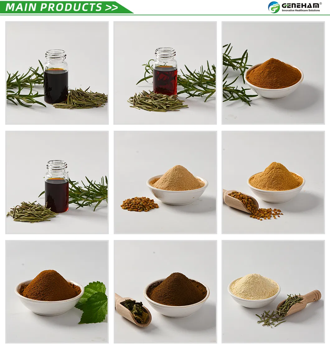 Principales Productos