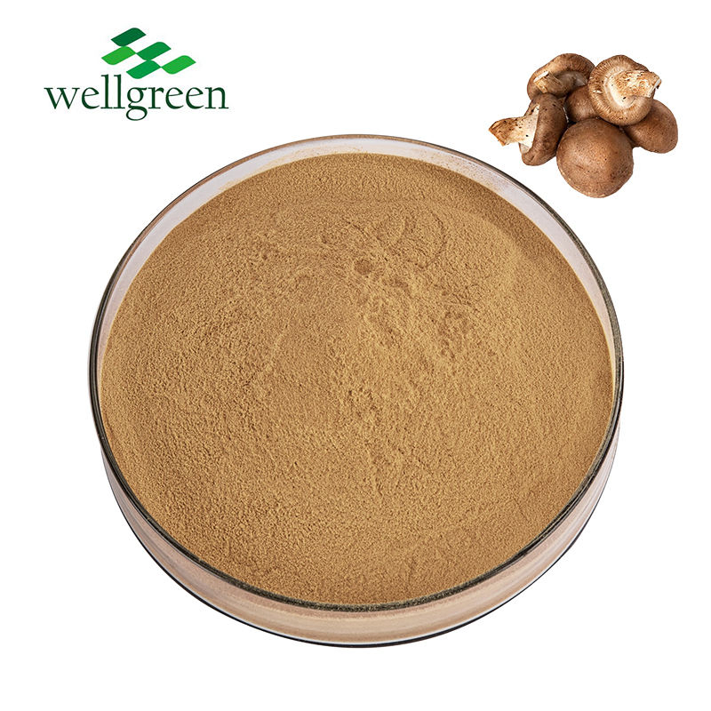 Polvo de extracto de hongo shiitake seco polisacáridos de hongo shiitake