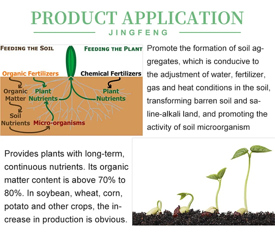 Planta de Fertilizantes Agrícolas y Uso del Suelo 40% Polvo de Ácido Húmico