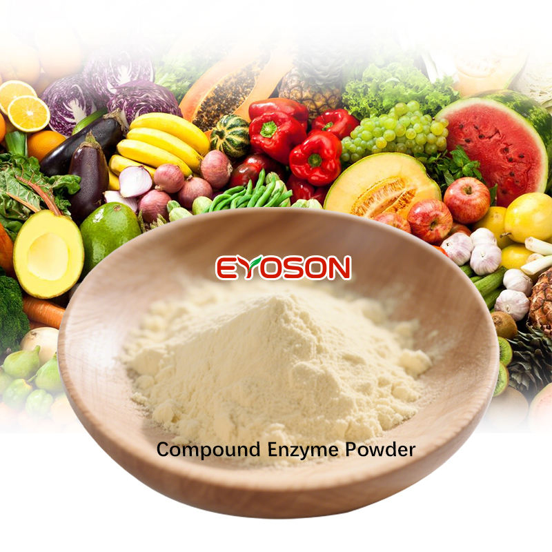 Fabricante de enzimas de grado alimenticio, compuesto de fibra natural para adelgazar, polvo de enzimas de superalimentos de frutas y verduras