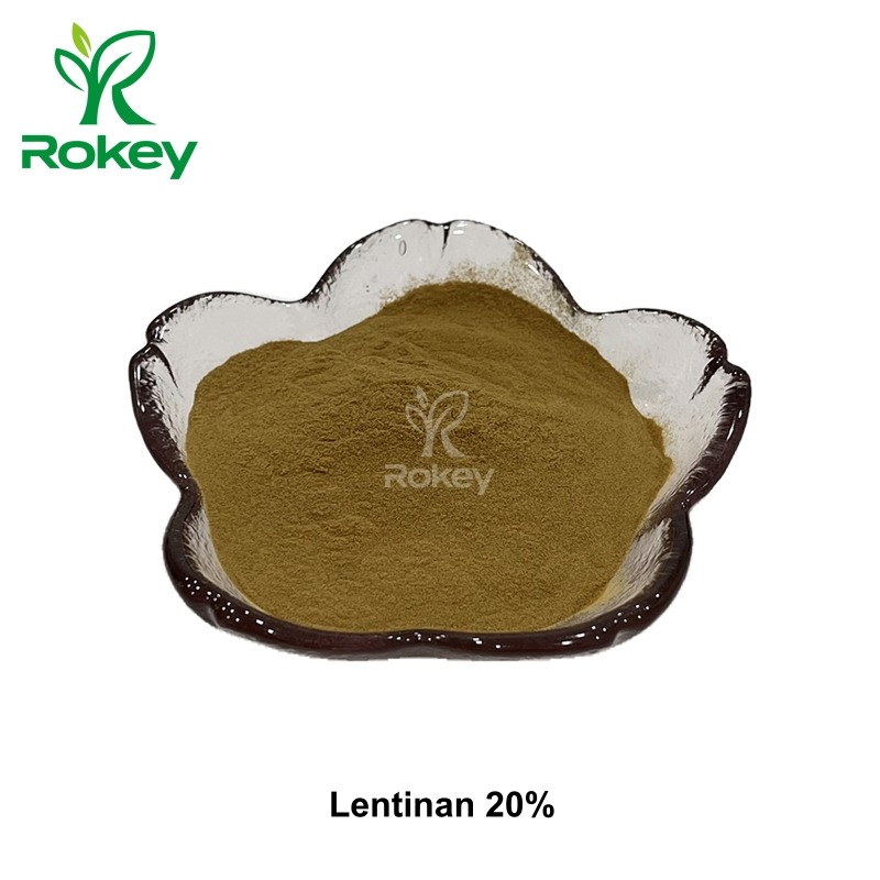 Suplemento Premium de Soporte Inmunológico Lentinano 20% en Polvo; Extracto de Champiñón Shiitake