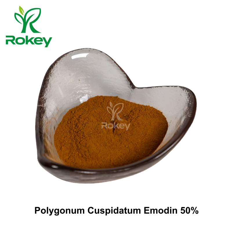 Extracto Natural de Alta Pureza para el Apoyo al Bienestar, 50% Poligonum Cuspidatum Polvo de Emodina