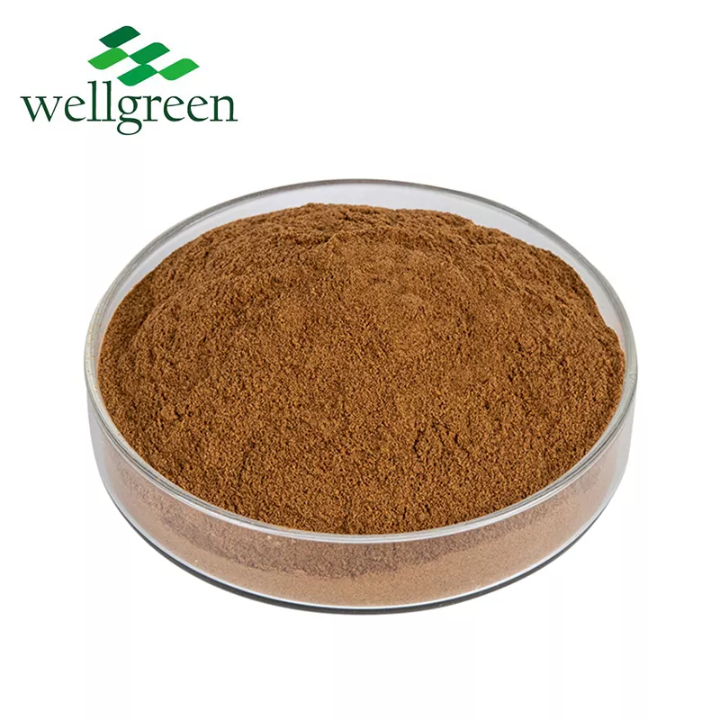 Wellgreen 30%50% Extracto de hongo Hericium Erinaceus en polvo de melena de león