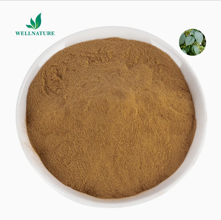 Polvo botánico estandarizado natural para la salud animal con certificado GMP, extracto de Eucommia Ulmoides